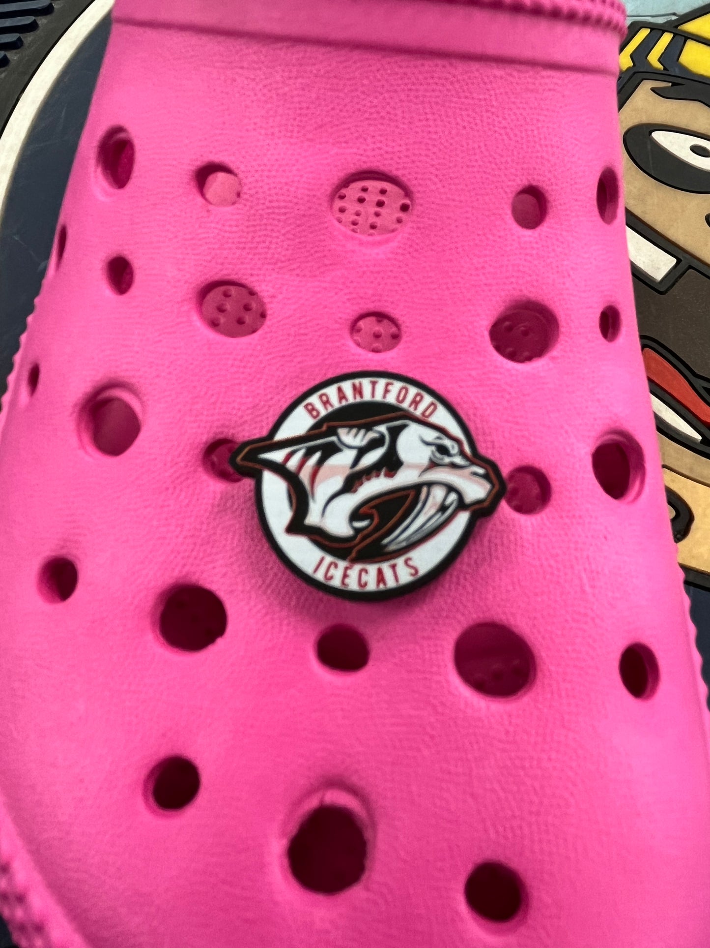 Icecats Croc Charm