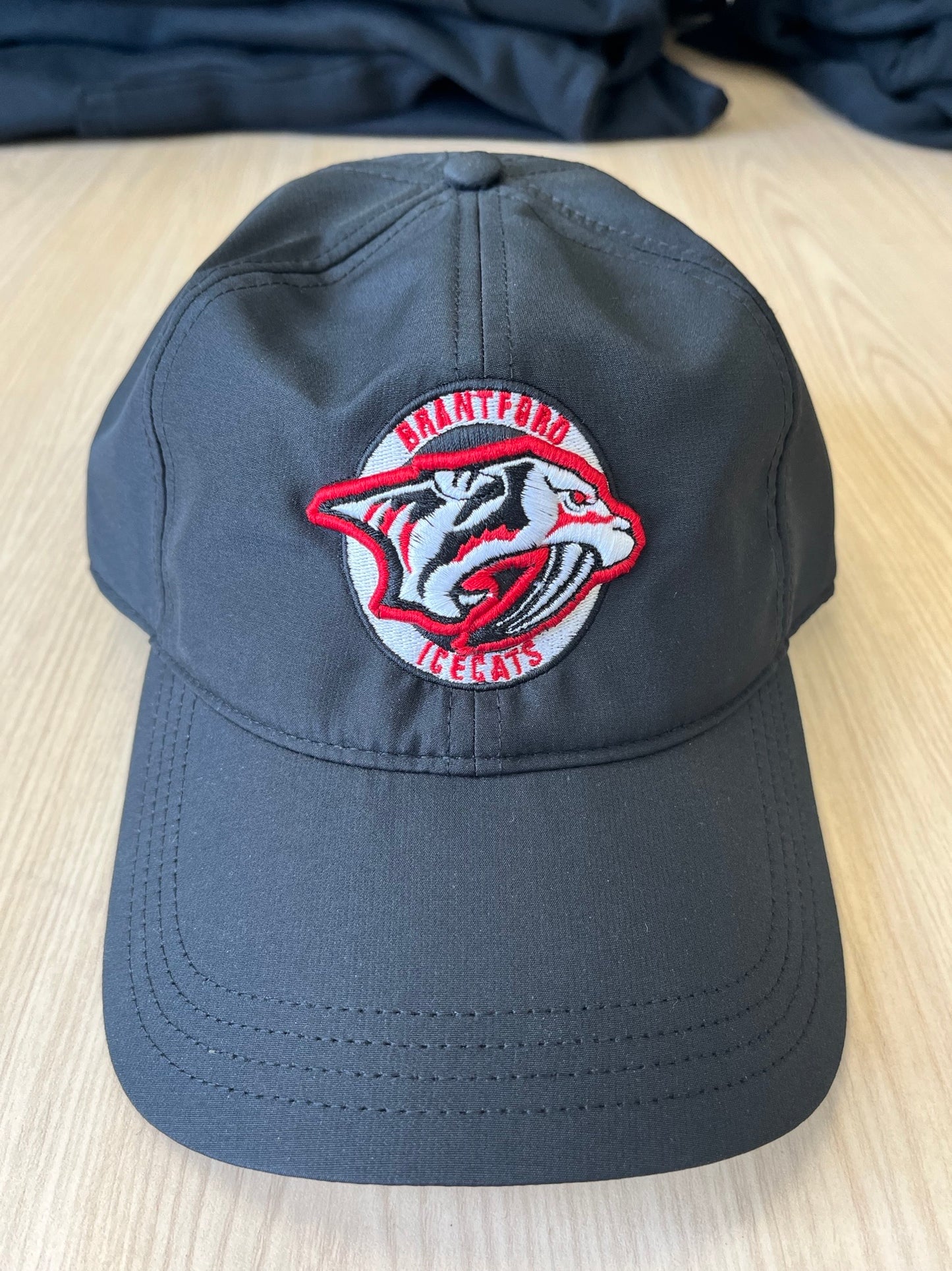 Icecats Black Adjustable Hat