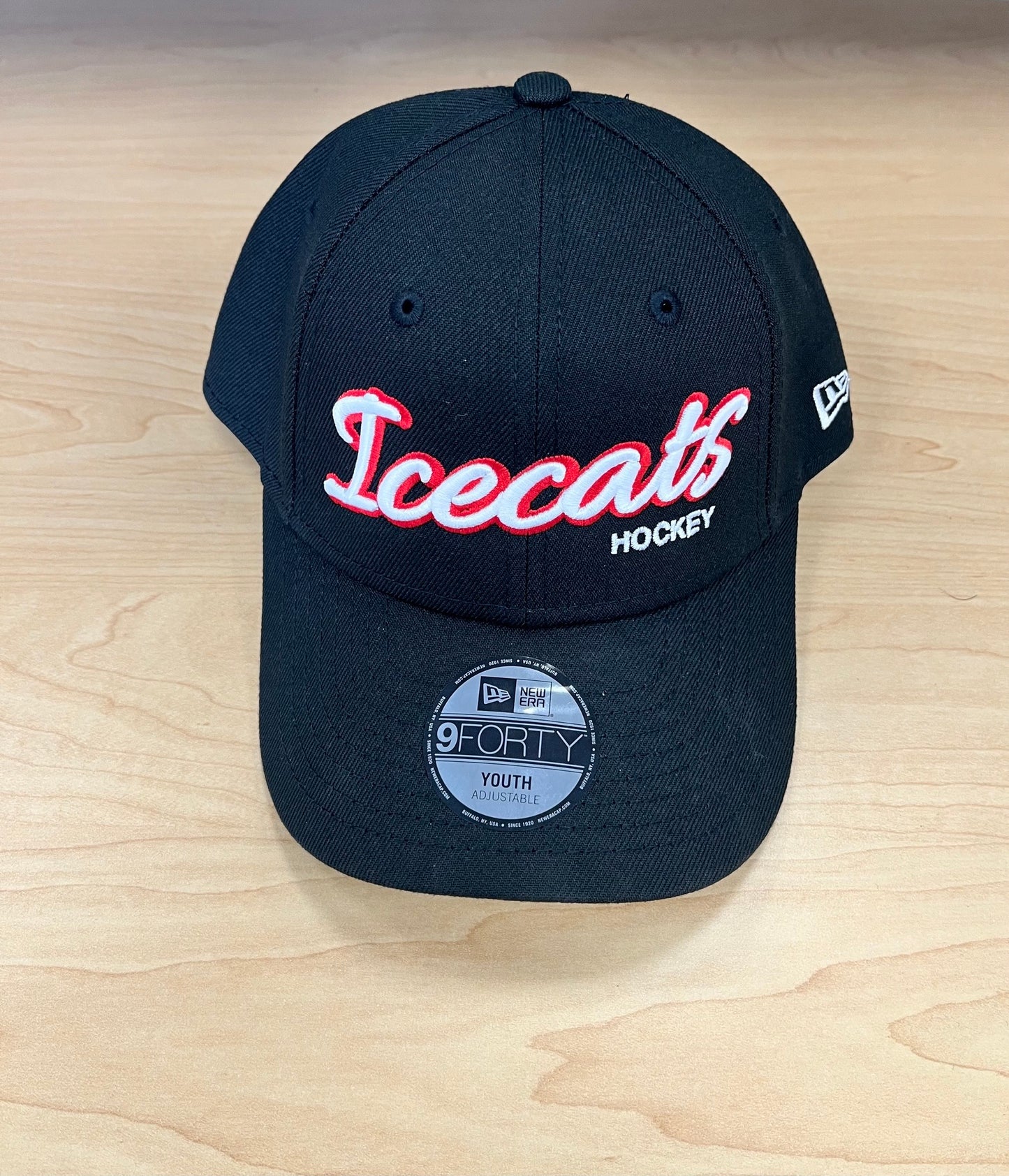 New Era 940 Icecats Script Hat Youth