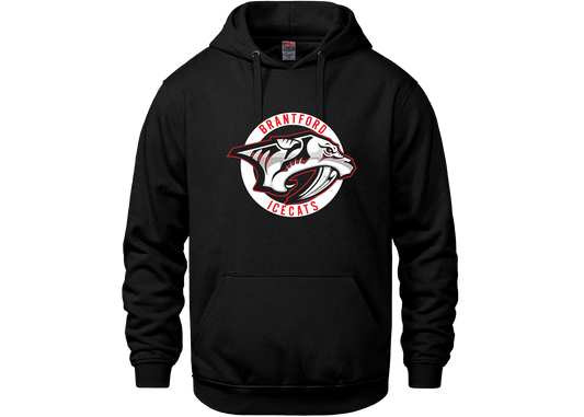S25 C/S Vault Icecats Adult Hoodie